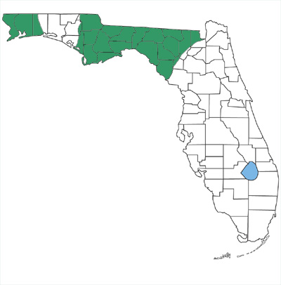 map showing that Dekay's brownsnakes are found only in the panhandle in Florida