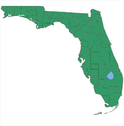 map showing eastern diamond-backed rattlesnakes are found throughout Florida