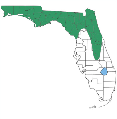 map showing that glossy crayfish snakes are found only in the panhandle and parts of northern and central Florida