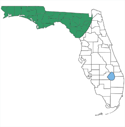 map showing that gray ratsnakes are found only in the panhandle and northwestern peninsula of Florida