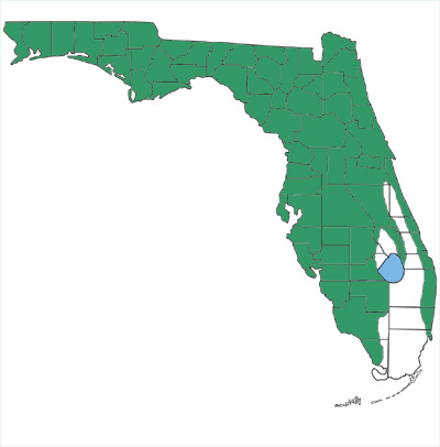 map showing pinesnake is found throughout most of the peninsula, with the exception of some southeastern regions
