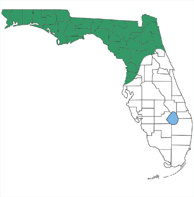 map showing that red-bellied snakes are only found in northern Florida and the panhandle