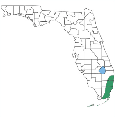 map showing that rim rock crowned snakes are only found in extreme southeastern Florida and the Keys