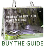 thumbnail photo of snake identification guide cover