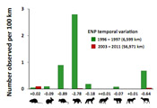 graph: drastic decline in sightings of live or road-killed mammals on roads in Everlgades National Park in the 2000s as compared to 1990s