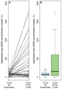 figure showing how standard eDNA methods capture less carp DNA than revised methods