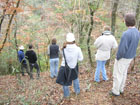 Photo: Students overlook a ravine as they learn about bluffs and ravines habitat