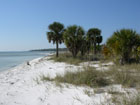 Photo: Coastal habitat at St. Joseph Peninsula State Park