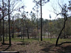 Photo: One Shot Pond at Katherine Ordway Preserve near Gainesville, Florida
