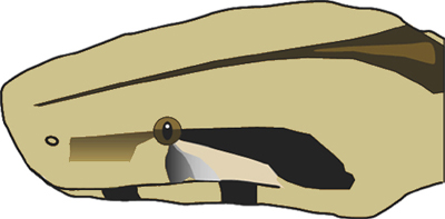 illustration of common boa head showing dark center line and dark eye stripe