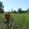 Amphibian Monitoring Project