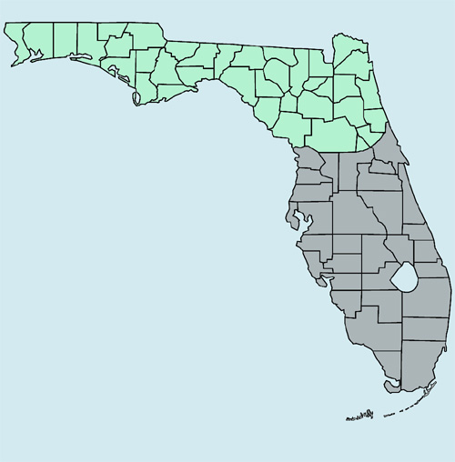 North Florida Region