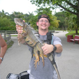Student captures an invasive iguana