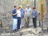 Wildlife of Florida Students