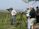 Wildlife of Florida Students