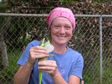 Student catches invasive Knight Anole