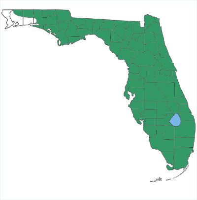 map showing black swampsnakes are found throughout Florida with the exception of the extreme western panhandle