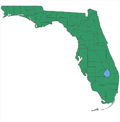 map showing coachwhip snakes are found throughout Florida