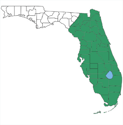 map showing that eastern ratsnakes are found throughout peninsular Florida but not in the panhandle