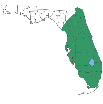 map showing that Florida brownsnakes are found only in peninsular Florida