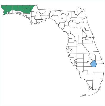 map showing that northern watersnakes are only found in the western panhandle of Florida