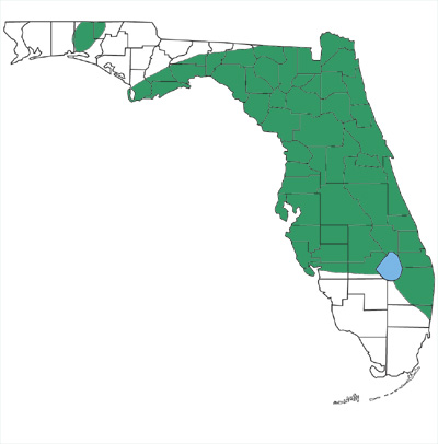 map showing that pine woods littersnakes are found in northern and central peninsular Florida and in the central panhandle