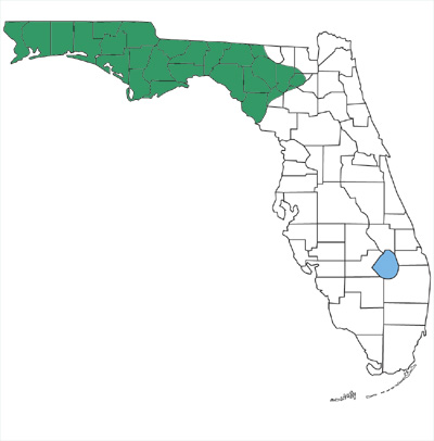 map showing that plain-bellied watersnakes are found only in the panhandle of Florida