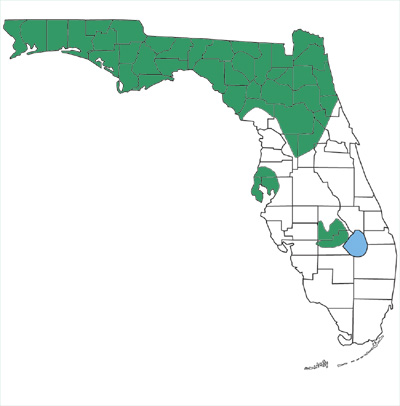 map showing that rainbow snakes are found predominantly in northern Florida