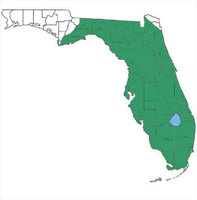 map showing that striped crayfish snakes are found in most of Florida, with the exception of the western panhandle