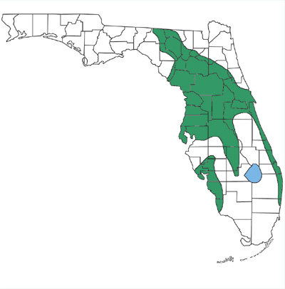 map showing that Florida crowned snakes are found only on central ridges and coastal scrubs in Florida