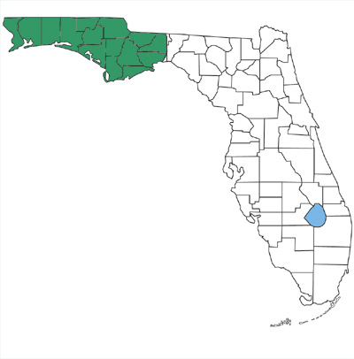 map showing that southeastern crowned snakes are found only in the panhandle in Florida