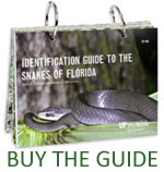 Burmese Python – Florida Snake ID Guide